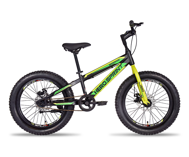 Hero Cycles Massive