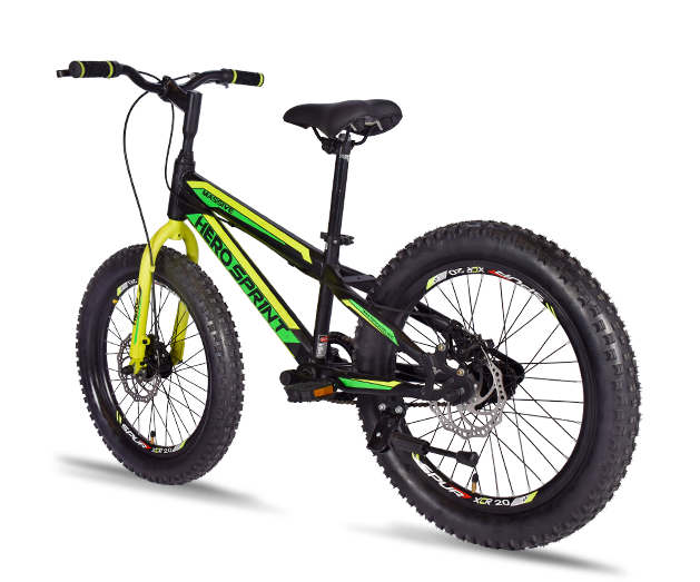 Hero Cycles Massive