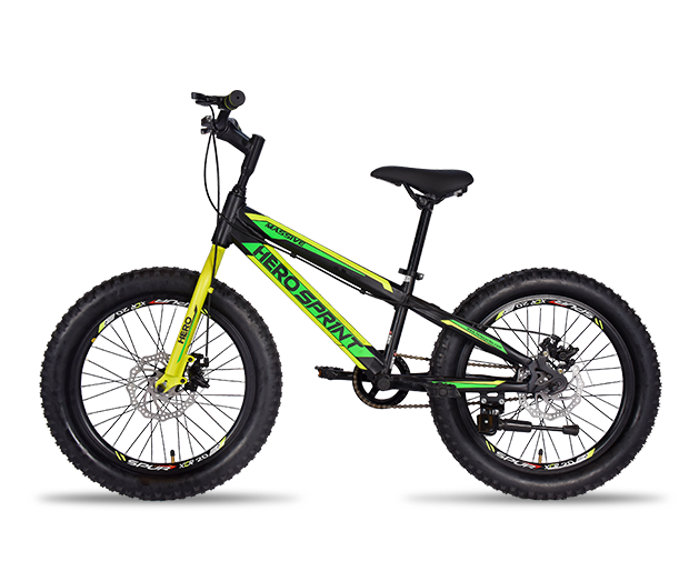 Hero Cycles Massive