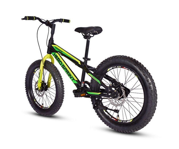 Hero Cycles Massive
