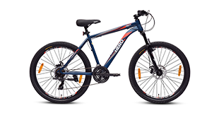 Hero Cycles Riot