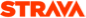 strava icon